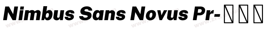 Nimbus Sans Novus Pr字体转换